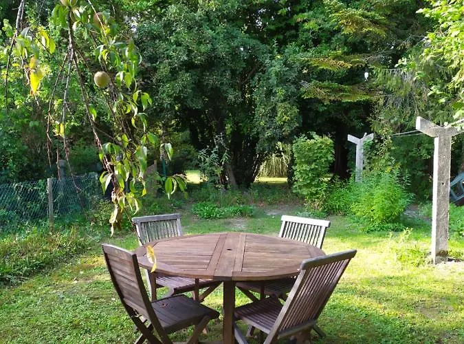 La Genête * Genêts