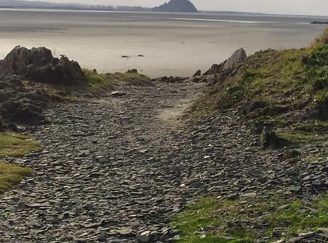 La Genête * Genêts