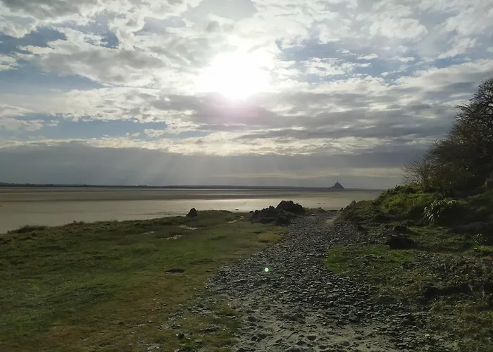 La Genête * Genêts