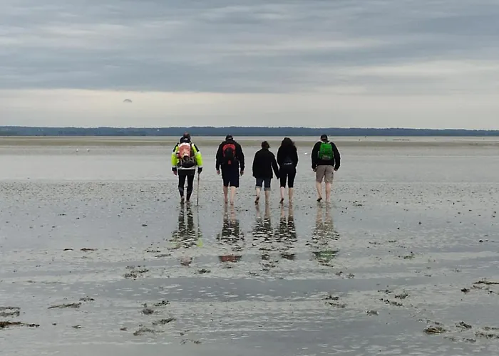 La Genête Hébergement de vacances *
