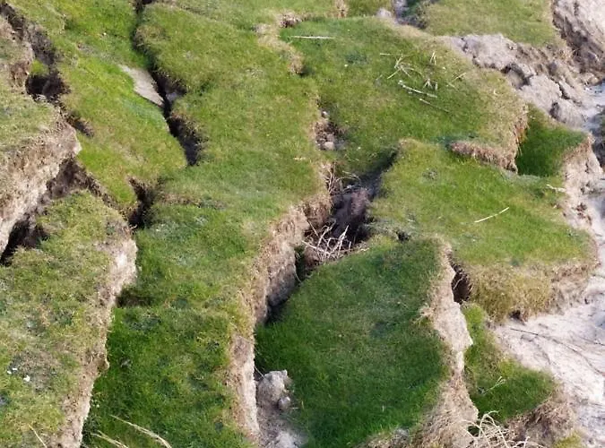 Hébergement de vacances La Genête