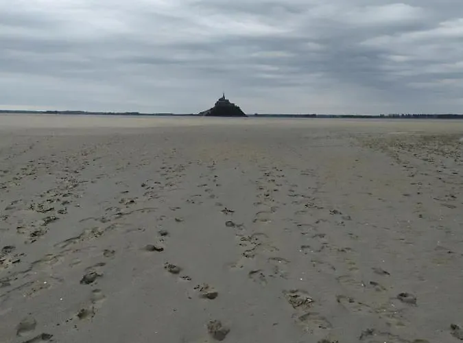 La Genête * Genêts