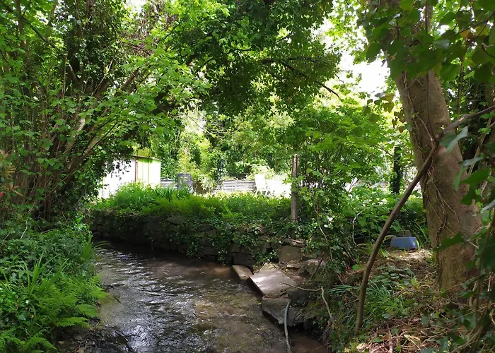 Hébergement de vacances La Genête Genêts